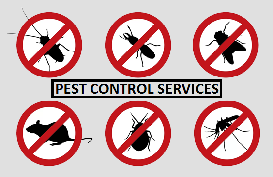 Forever Pest control