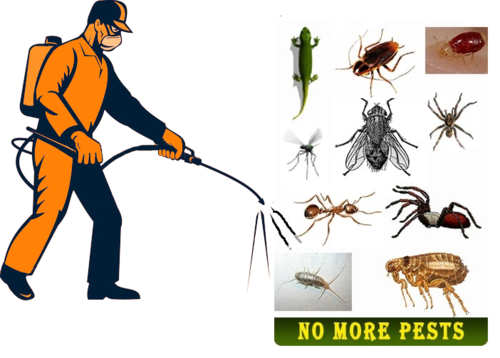 Forever Pest control